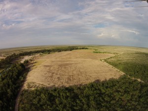 deer and turkey food plot