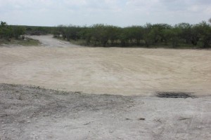 Coahuila Tank