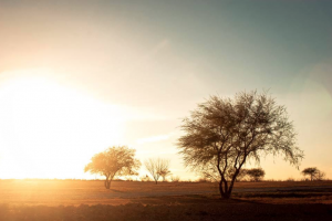 Coahuila Mexico Hunting Ranch sunset