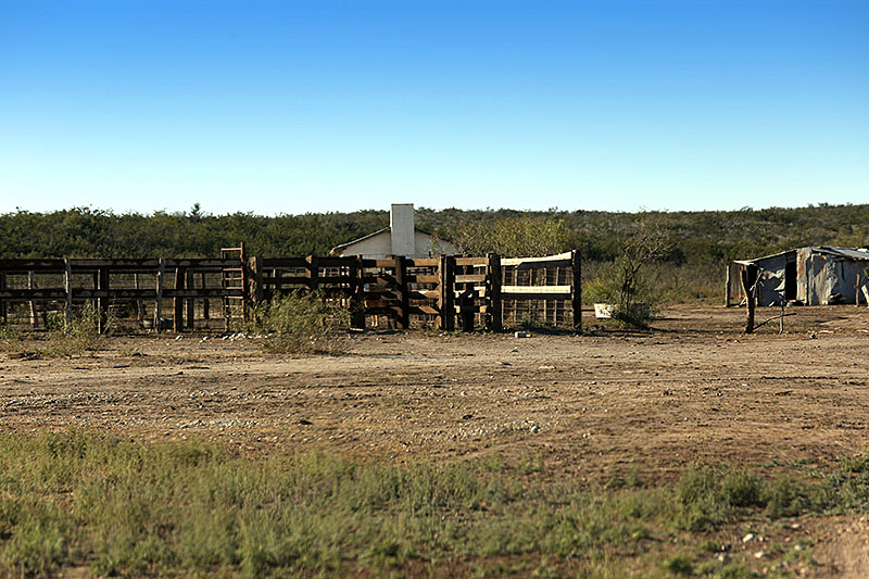 Properties for dove hunting in Coahuila, Mexico Stuart Ranches