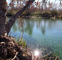 Rancho San Isidro (23,750 acres)